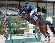 Agosta Dario, Berenice GioCav2013 S5 2355 : Agosta Dario, Berenice, Campionati Italiani Giovani Cavalli, Cattolica, ph Stefano Secchi ©